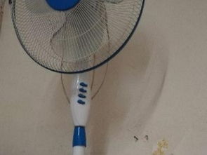 滬上家居生活圖鑒 從廚房用品到日用雜品，打造溫馨港灣